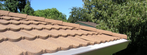 Rain gutter guard Danville