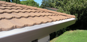 Rain gutter guard Danville